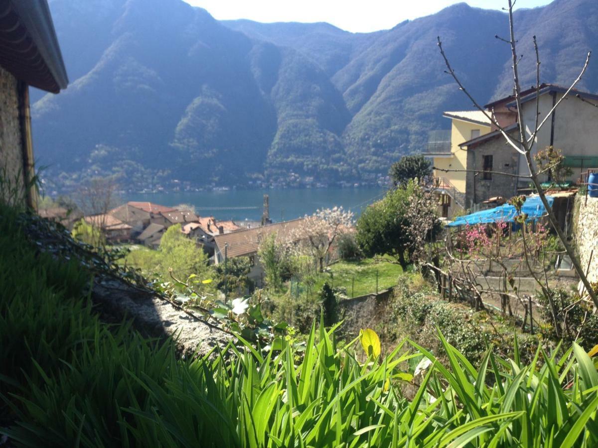 Il Mulino Di Hotel Villa Aurora ネッソ エクステリア 写真